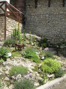 Korzkiew courtyard_3